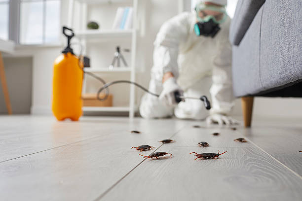 Commercial Kitchen Cockroach Control in Union